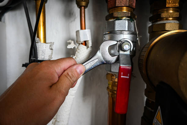 Best Plumbing Inspection Services  in Shannon, GA
